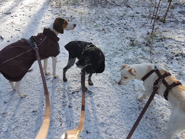 1 bcdd0ea5 1a25 4ec8 b2c5 93780a807528