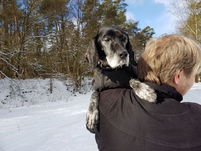 1 d84d734e 3726 4c89 8ae2 489f81a7e7b1