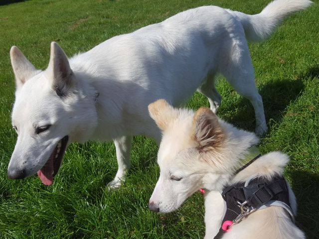 1 PHOTO 2018 05 25 11 21 16