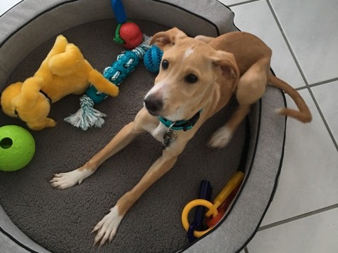 1 cid 0C56301E 3CE8 4015 856C A4DBE968A7E7Speedport W 724V 09011603 05 013