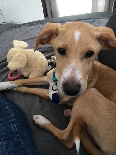 1 cid F0EBA416 5ACE 467D B6BE D421F76C3F90Speedport W 724V 09011603 05 013