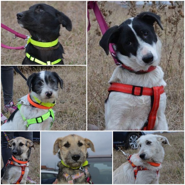 1 hilfe wir wollen nicht erfrieren