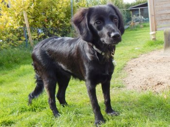 1d890c095adb080f9a183eaad5ac529e