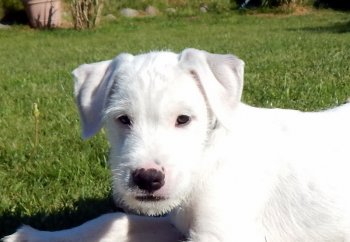 5915ed615227cd7a0745c8b2bb8a4fae