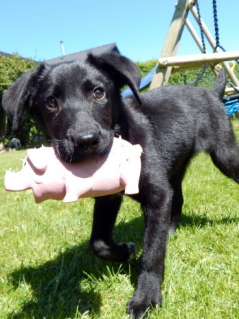 7e6214b50923421b704dc3af482f13c3