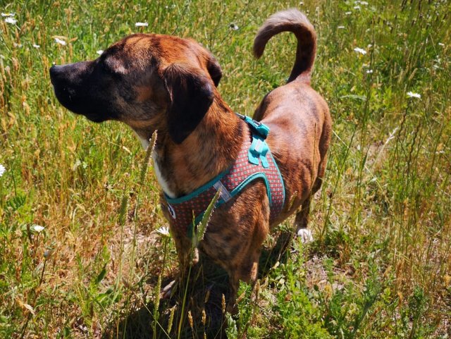 1 PHOTO 2018 06 22 13 35 12