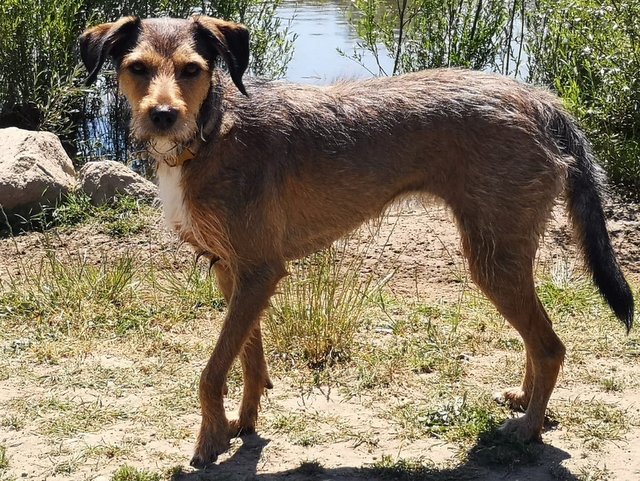 1 PHOTO 2018 06 22 13 35 12g