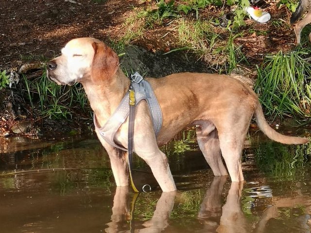 1 PHOTO 2018 06 22 13 35 13