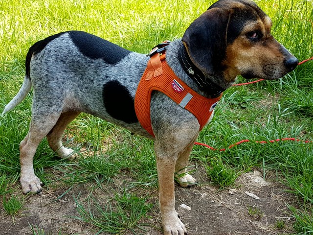 1 PHOTO 2018 06 22 13 35 13l