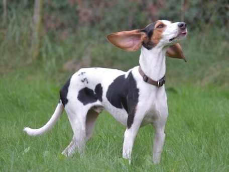 1 PHOTO 2018 06 22 13 35 13x