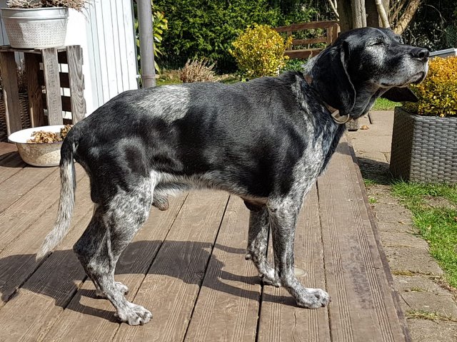 1 PHOTO 2018 06 22 13 35 13y