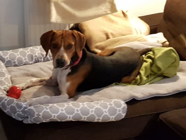 1 88816585 5d4d 46ff a380 c26a82734afa