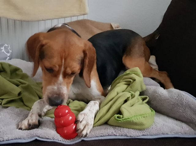 1 f555b4be 593f 4639 8ff8 e02407c202ed