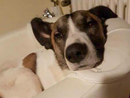 1 IMG 20180115 WA0033