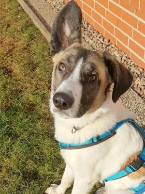 thumb 2017 01 26 PHOTO 105