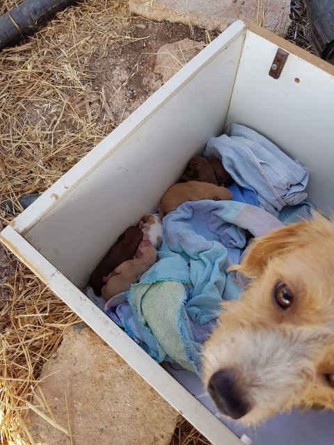 1 33607977 1883952301623656 1379689219420585984 n