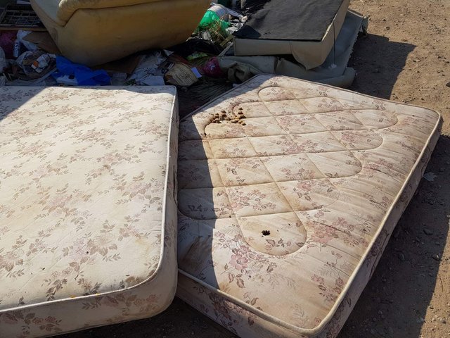 1 33689812 1883952644956955 4569467138447769600 n