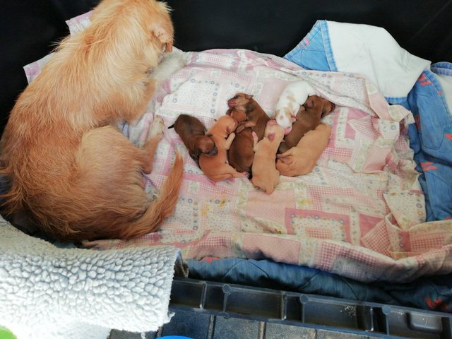 1 33751413 1883951248290428 594386446853341184 n