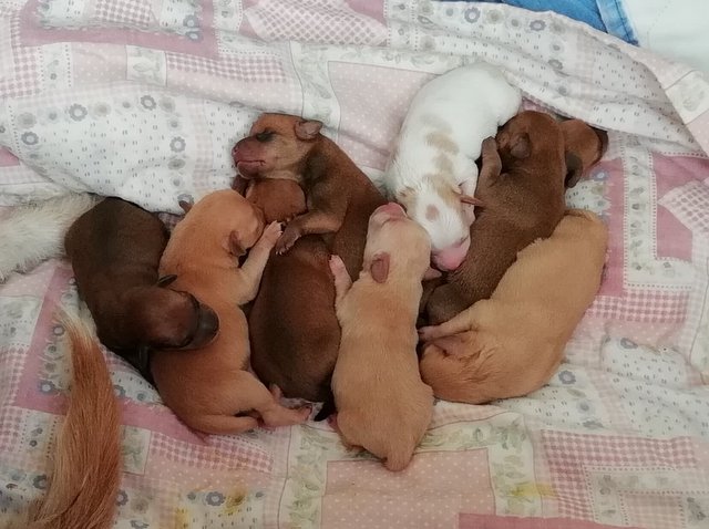 1 33766452 1883951461623740 8482116906982047744 n