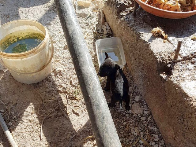 1 33780012 1883952464956973 5661771982899773440 n 001