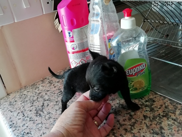 1 IMG 20180526 154343 resized 20180526 054628064