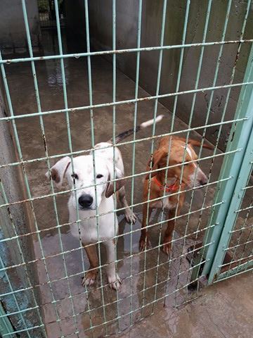 1 27157285 10208593136345318 1665260124 n