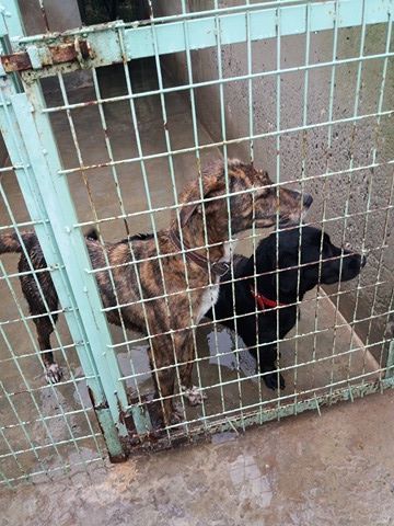 1 27294983 10208593137145338 14188110 n