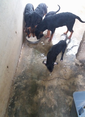 1 27400057 10208593137385344 1067282930 n