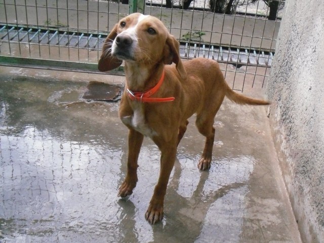 1 SDC12995 1600x1200