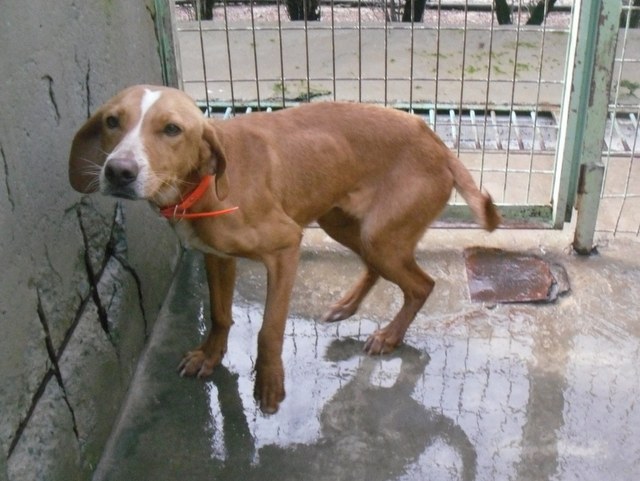 1 SDC13002 1600x1200