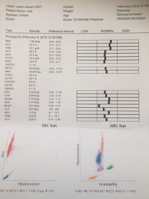 cid ii 1617b0a7f973a09b