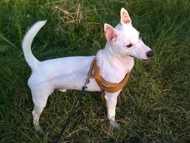 1 IMG 20180620 WA0031 001