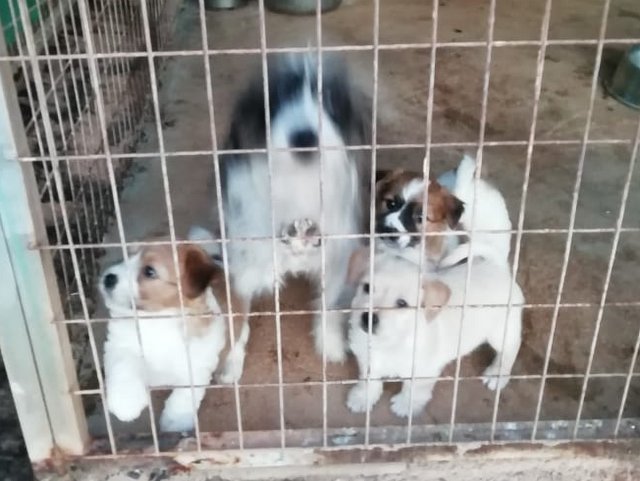 1 1PHOTO 2018 10 30 18 10 34