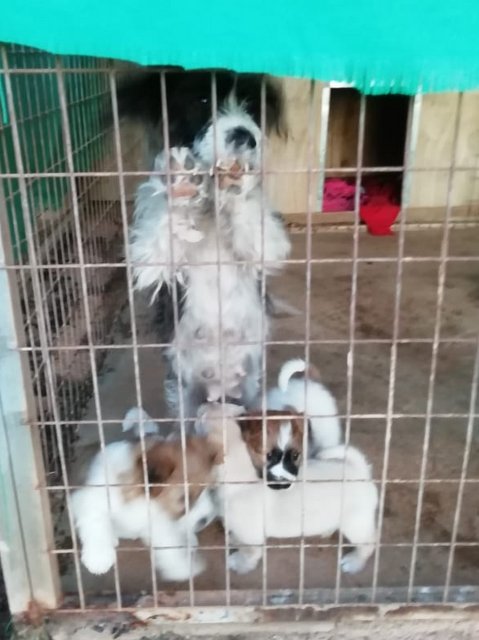 1 PHOTO 2018 10 30 16 33 26