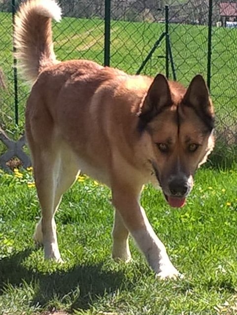 1 PHOTO 2018 07 23 15 19 43