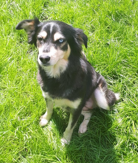 1 PHOTO 2018 07 23 15 56 15