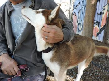 thumb 1 Aris Jan 2018 Photo 2