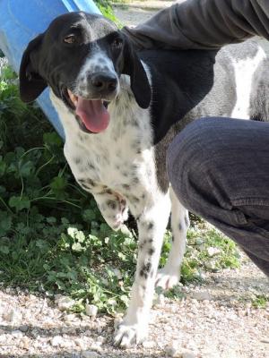 thumb 1 Jake 2018 Photo 5