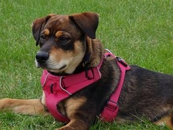 thumb 1 PHOTO 2018 06 27 16 31 15