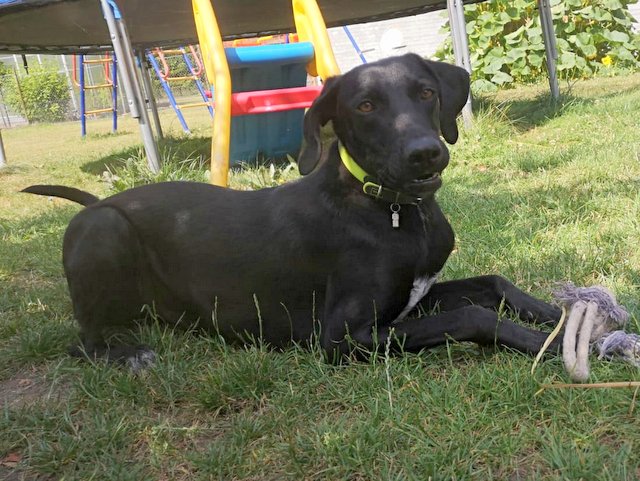 1 PHOTO 2018 07 15 11 07 23