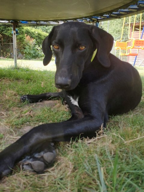 1 PHOTO2 2018 07 15 11 07 23