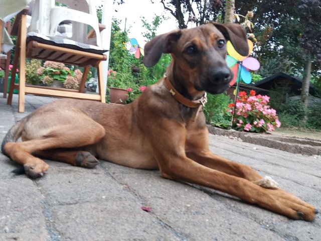 1 PHOTO 2018 08 24 08 22 41