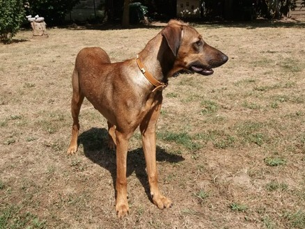 1 5c44a70d ed00 45d3 a18b 07b9b3648f9d