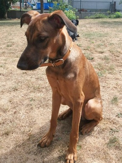 1 81c4400d 5651 4dd8 83cd ed3ee2314b2f