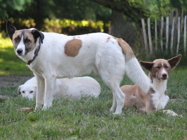 1 PHOTO 2018 07 09 08 43 51