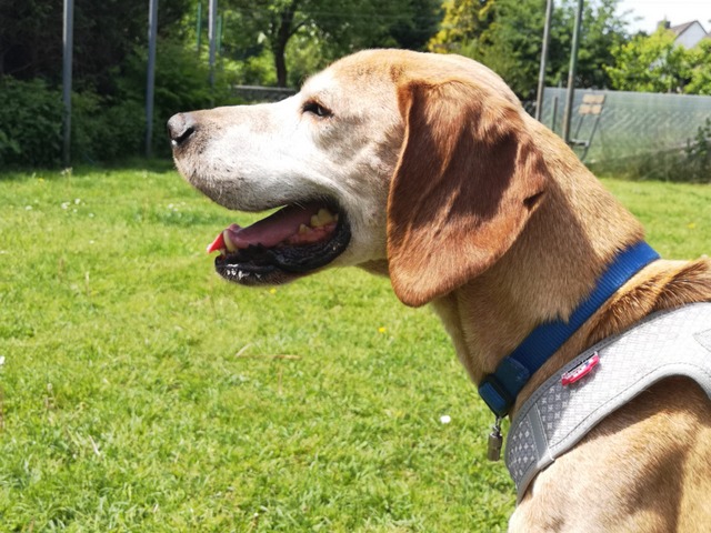 1 IMG 20180521 134355 001