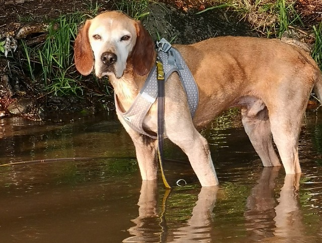 1 IMG 20180530 190816