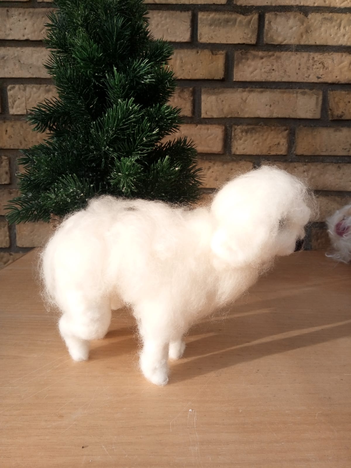 10PHOTO 2018 12 04 11 19 36