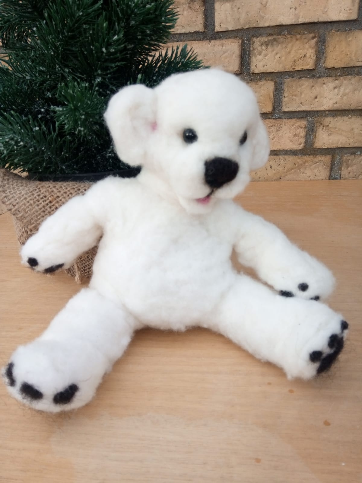 14PHOTO 2018 12 04 11 19 37