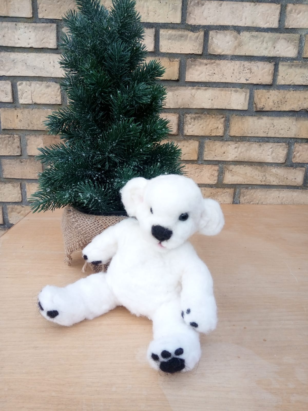 15PHOTO 2018 12 04 11 19 37